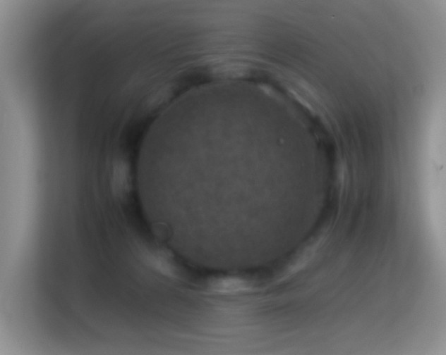 X0000113640224200909251248