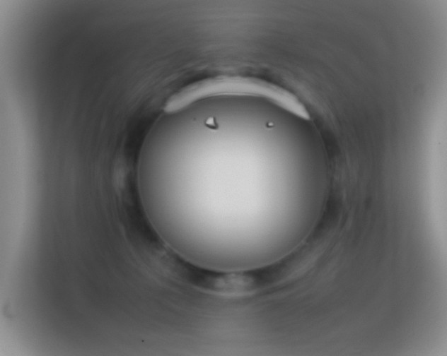 X0000113640225200909251248