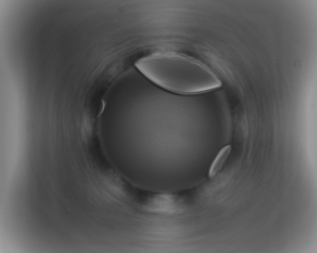 X0000113640227200909251248