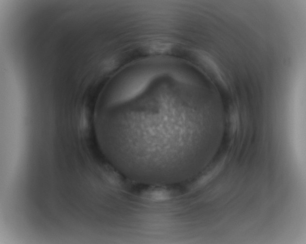 X0000113640228200909251248