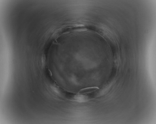 X0000113640231200909251248