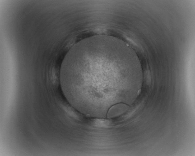 X0000113640234200909251248