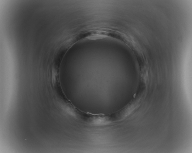 X0000113640235200909251248