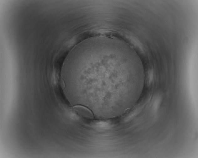 X0000113640236200909251248