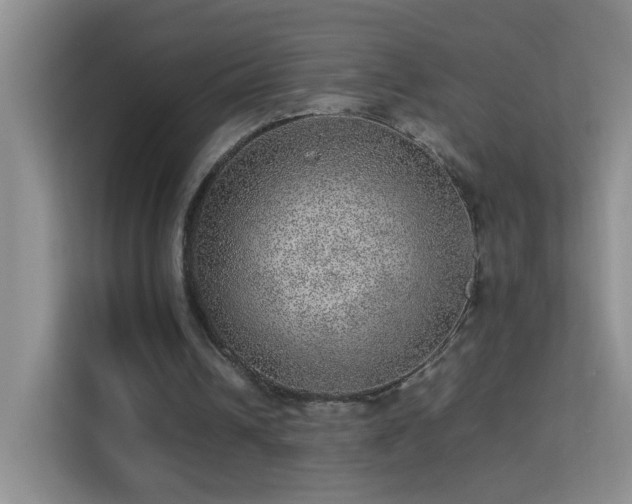 X0000113640242200909251247