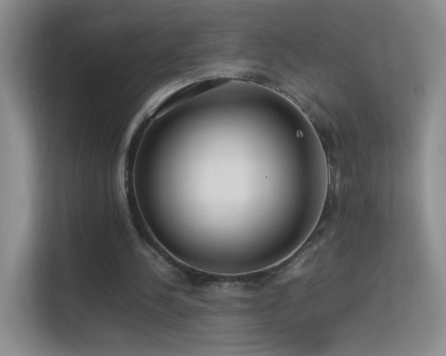 X0000113640244200909251247