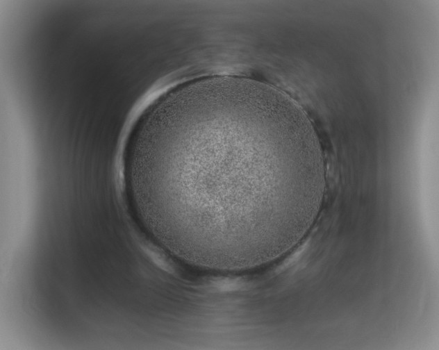 X0000113640246200909251247