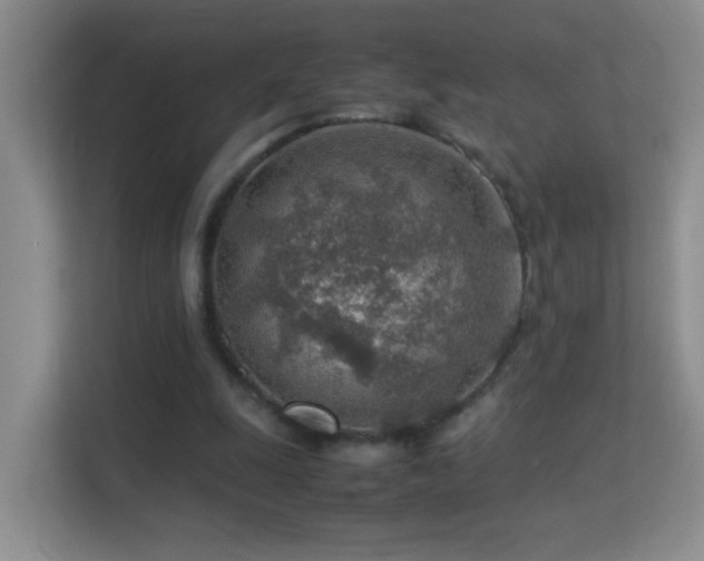 X0000113640247200909251247