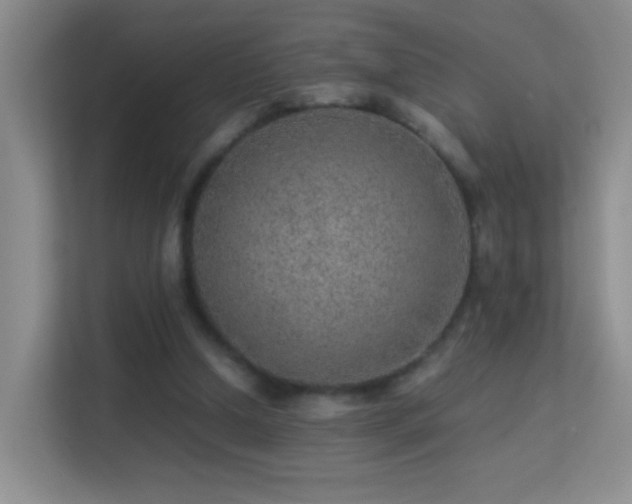 X0000113640250200909251247