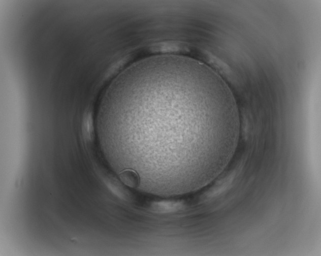 X0000113640251200909251247