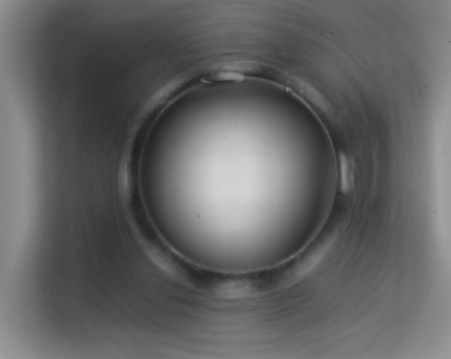 X0000113640252200909251247