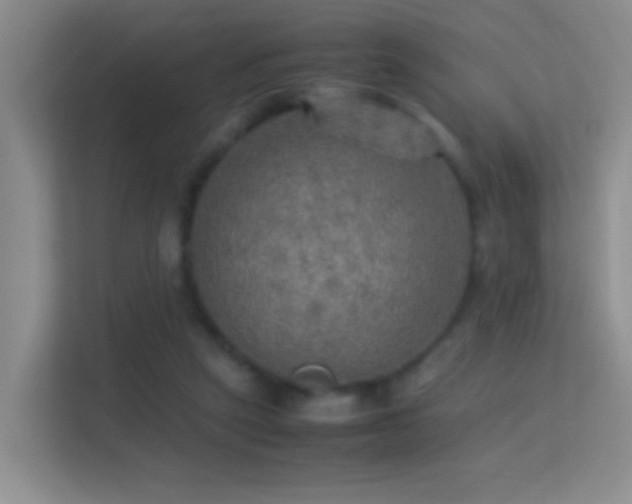 X0000113640257200909251247