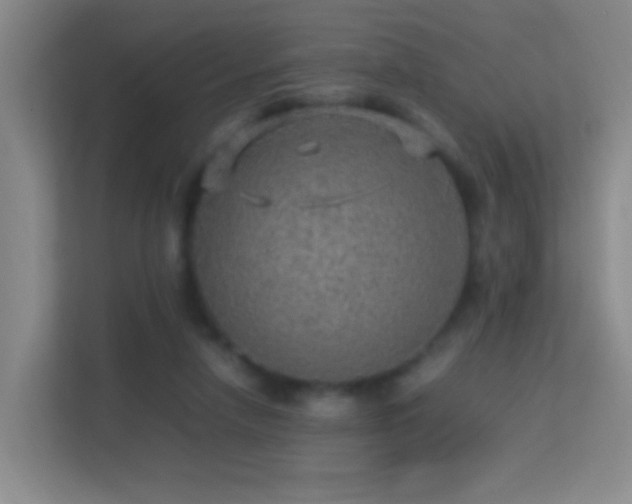 X0000113640258200909251247