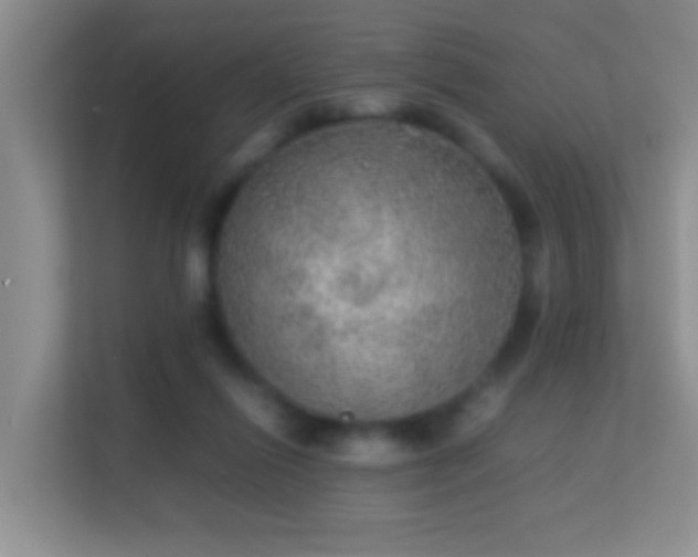 X0000113640262200909251247