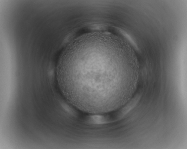 X0000113640265200909251247