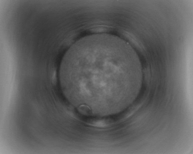 X0000113640267200909251247