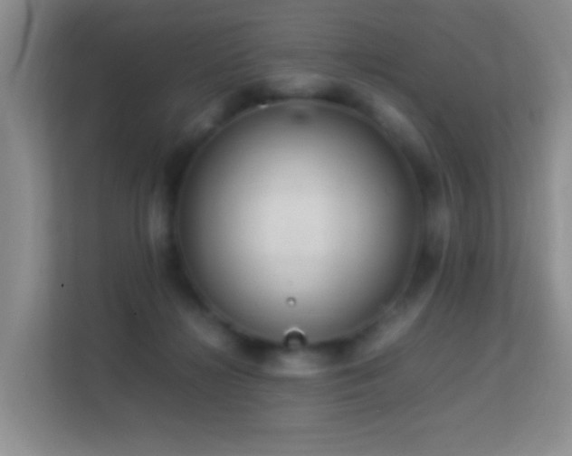 X0000113640268200909251247