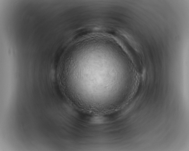 X0000113640269200909251247