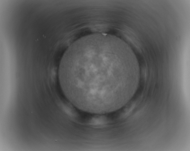 X0000113640271200909251247