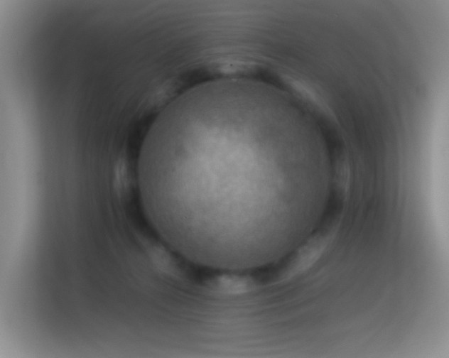 X0000113640272200909251247