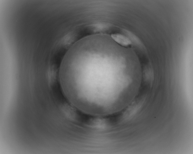 X0000113640276200909251247