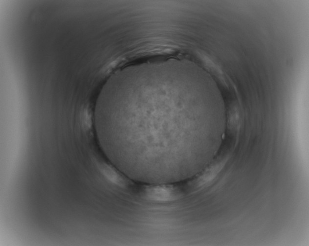 X0000113640282200909251247