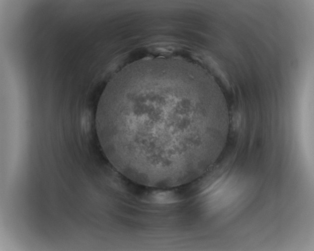 X0000113640283200909251247