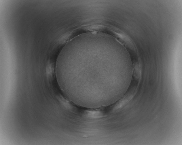 X0000113640284200909251247