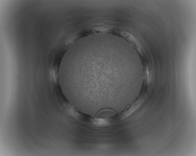 X0000113640285200909251247