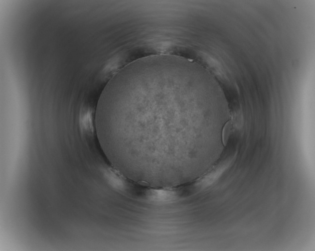 X0000113640286200909251247