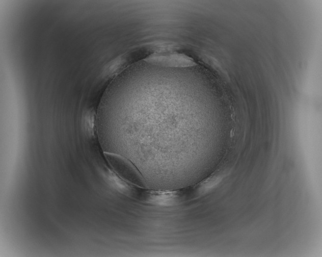 X0000113640288200909251247