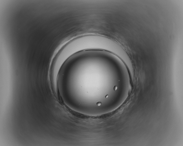 X0000113640292200909251247