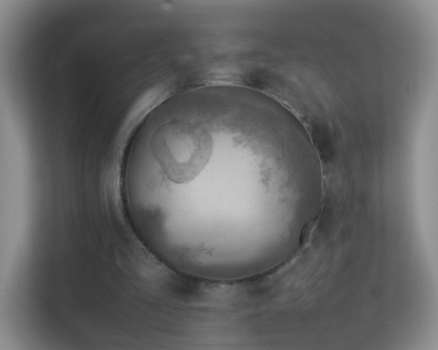 X0000113640293200909251247