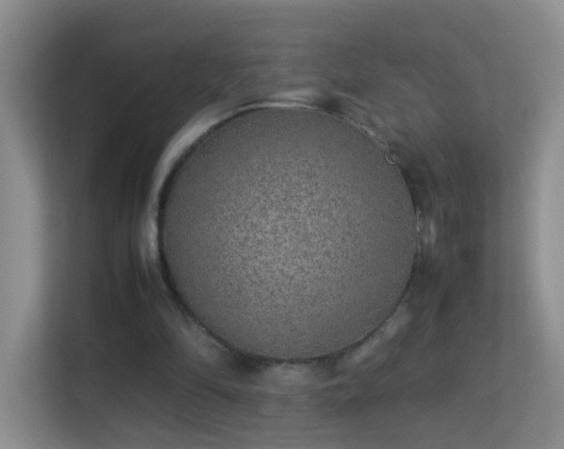 X0000113640294200909251247