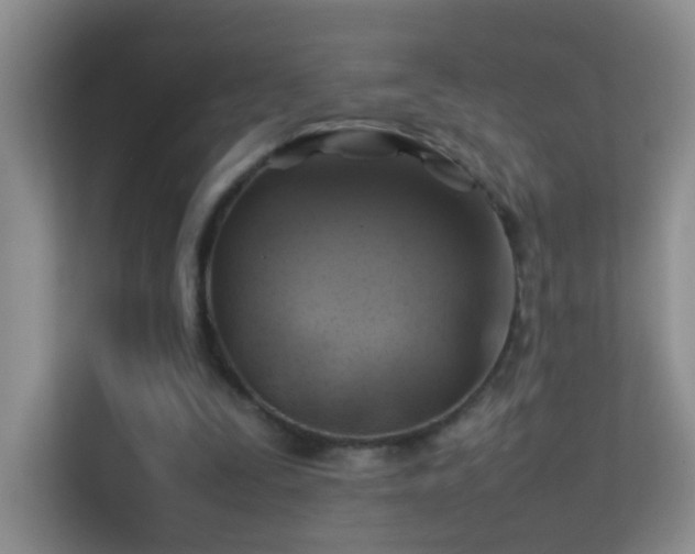 X0000113640295200909251247