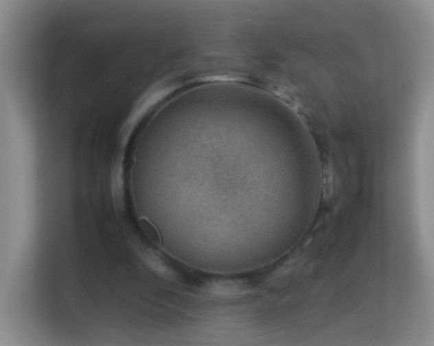 X0000113640296200909251247