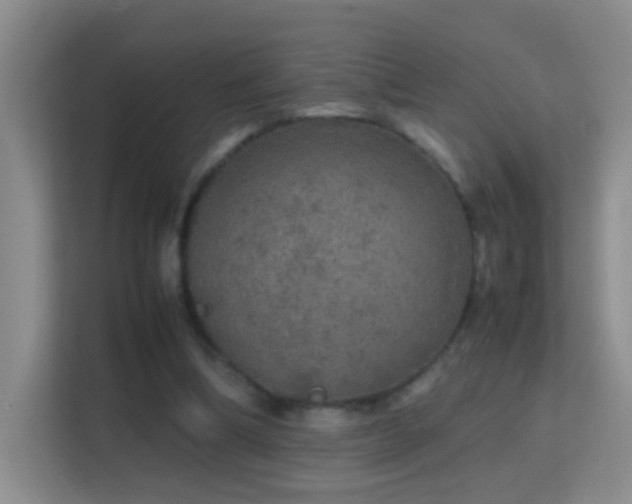 X0000113640298200909251247