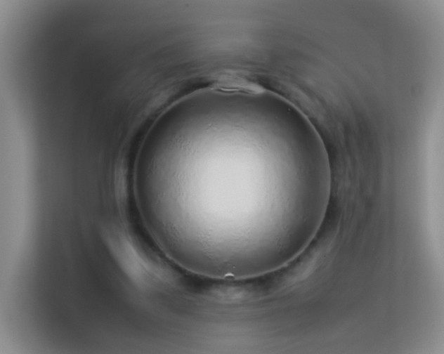 X0000113640299200909251247