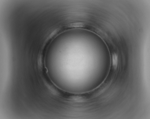 X0000113640300200909251247