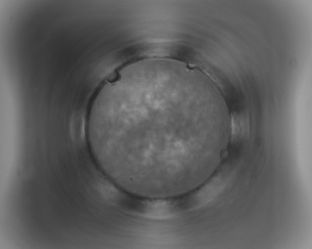 X0000113640301200909251247