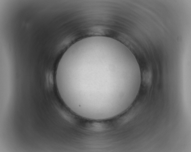 X0000113640302200909251247