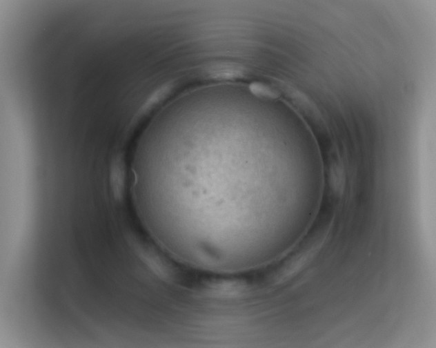 X0000113640304200909251247