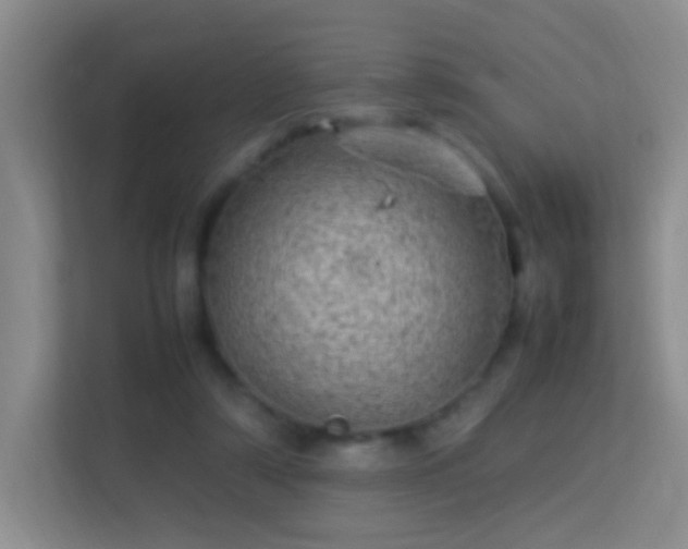 X0000113640306200909251247