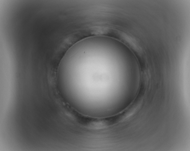 X0000113640307200909251247