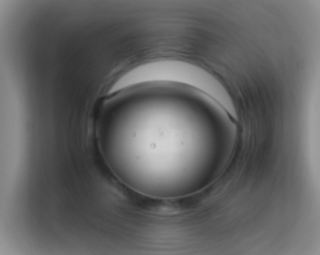 X0000113640308200909251247