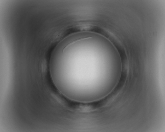 X0000113640311200909251247