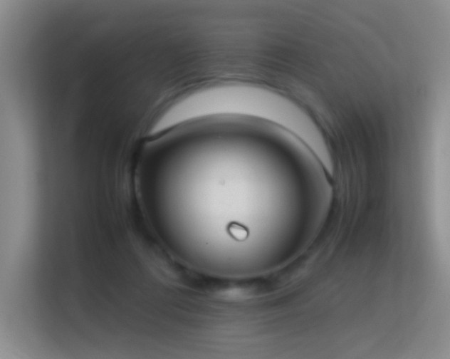 X0000113640312200909251247