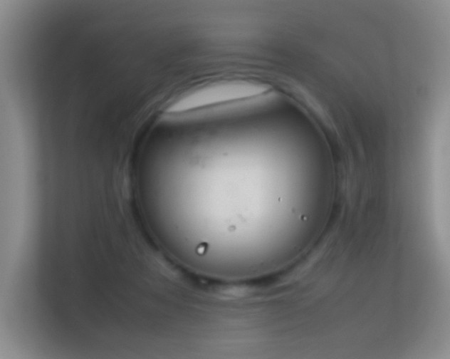 X0000113640313200909251247