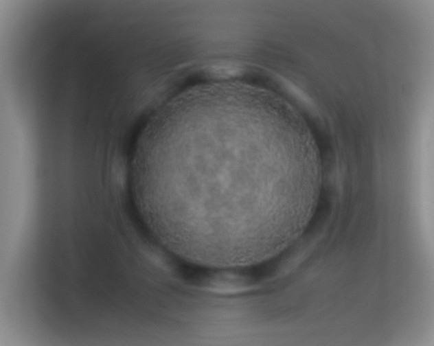 X0000113640315200909251247