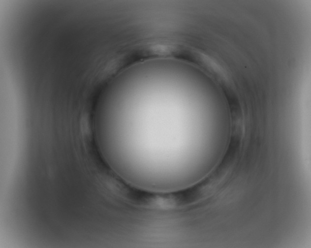 X0000113640317200909251247